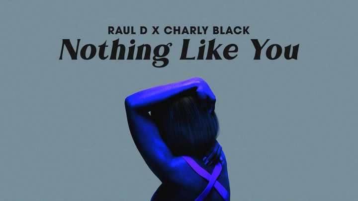 Raul D X Charly Black - Nothing Like You [3/22/2024]